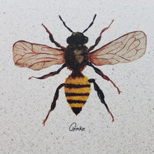 Lade das Bild in den Galerie-Viewer, Wandbilder