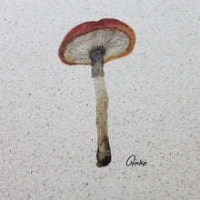 Lade das Bild in den Galerie-Viewer, Karten