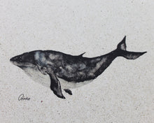 Lade das Bild in den Galerie-Viewer, Karten